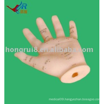 Hand Acupuncture Model 13cm, acupuncture hand model